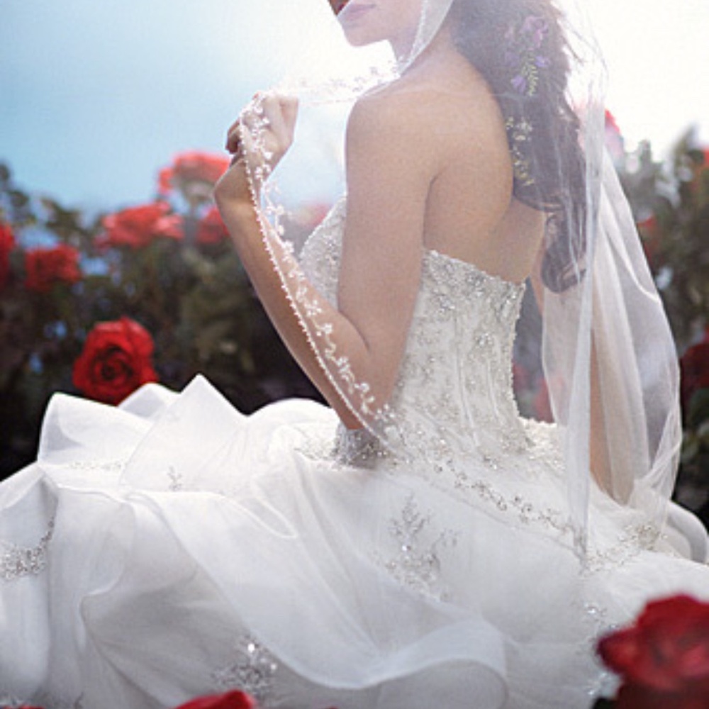 Disney Belle Wedding Dress by Alfred Angelo